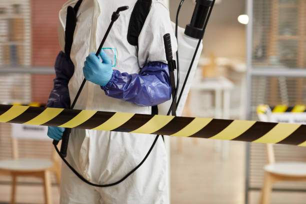 Professional Odor Removal technician working in Albion, IL