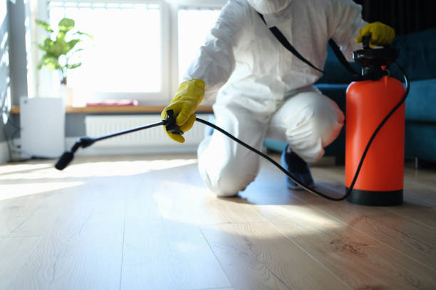 Reliable Odor Removal contractor in Albion, IL by Trauma Clean Pros